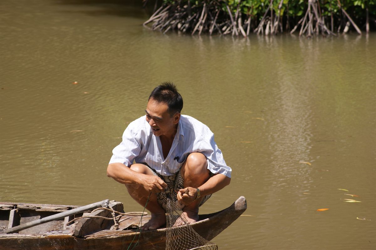 Vietnamesischer Farmer bei der Ernte in den Mangroven 2