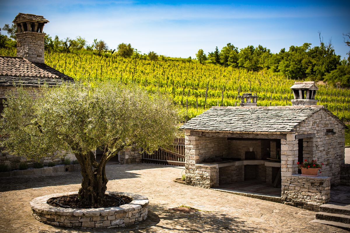 Istrische Weingärten, Kroatien