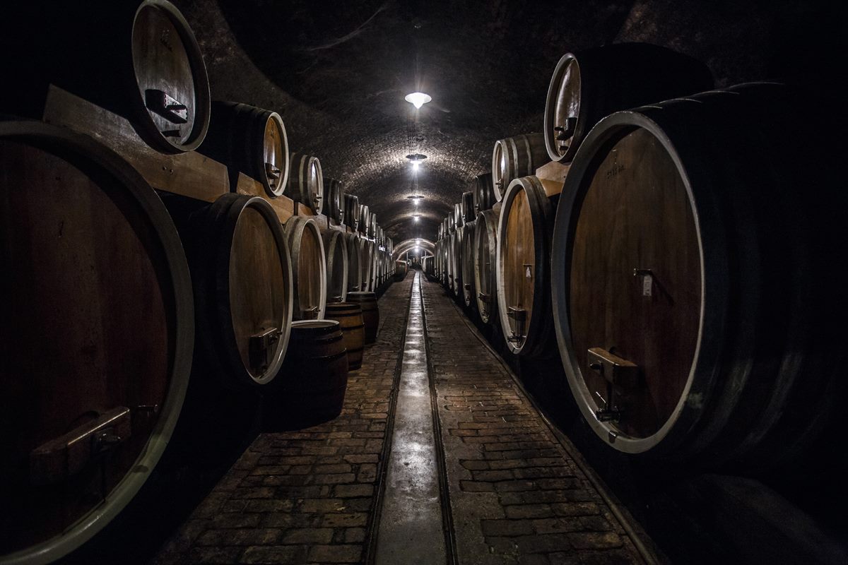 Einer der ältesten Weinkeller Kroatiens befindet sich in Ilok