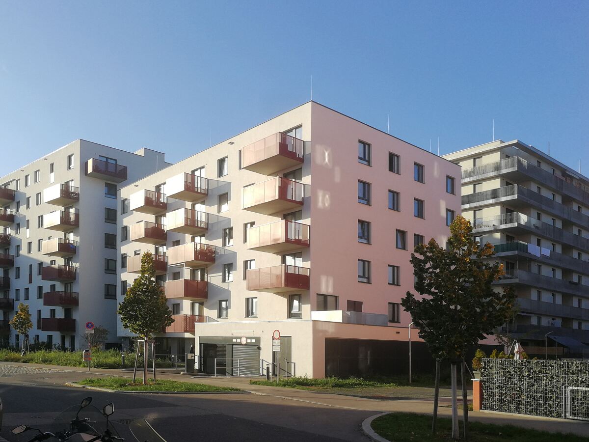 REMAX ImmoSpiegel 2025 Eigentumswohnungsmarkt_c REMAX Austria