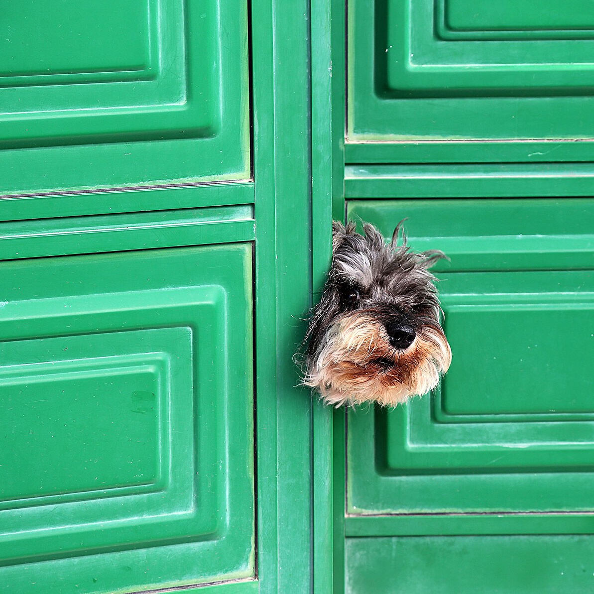 CEWE_Photo_Award_2025_Fotografin_Alexandra Brandstetter_Titel_ Hab ich was verpasst_Kategorie_Tiere