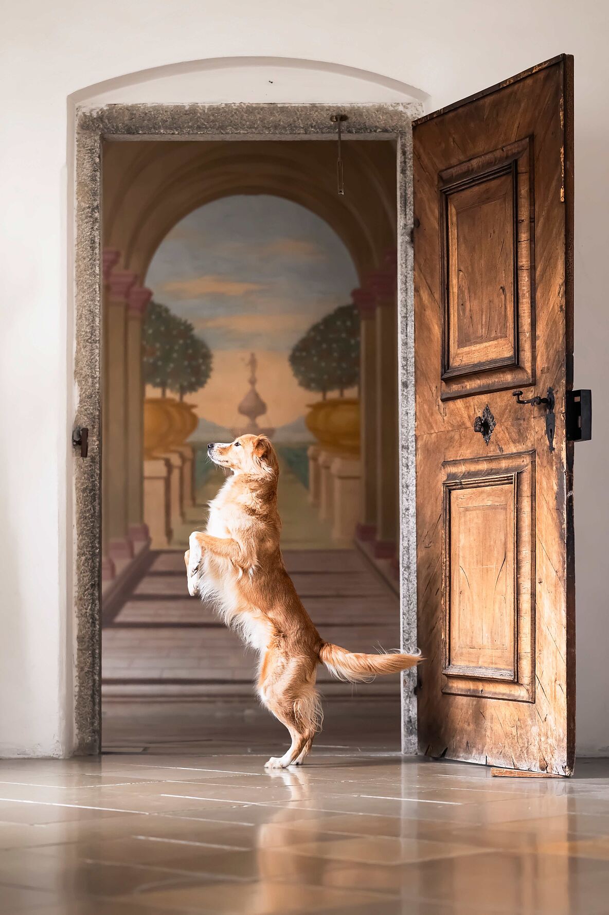 CEWE_Photo_Award_2025_Fotografin_Sabina_Auserwoeger_Titel_An_der_Schwelle_Kategorie_Tiere