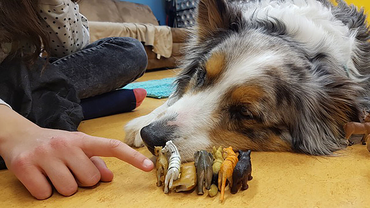 Tiergestützte Therapien sind besonders wichtig für viele der Kinder.