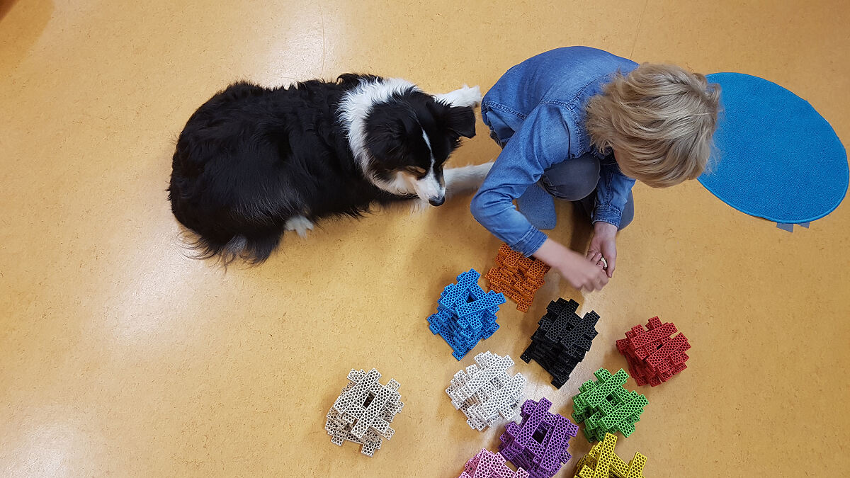 Tiergestützte Therapien sind besonders wichtig für viele der Kinder.
