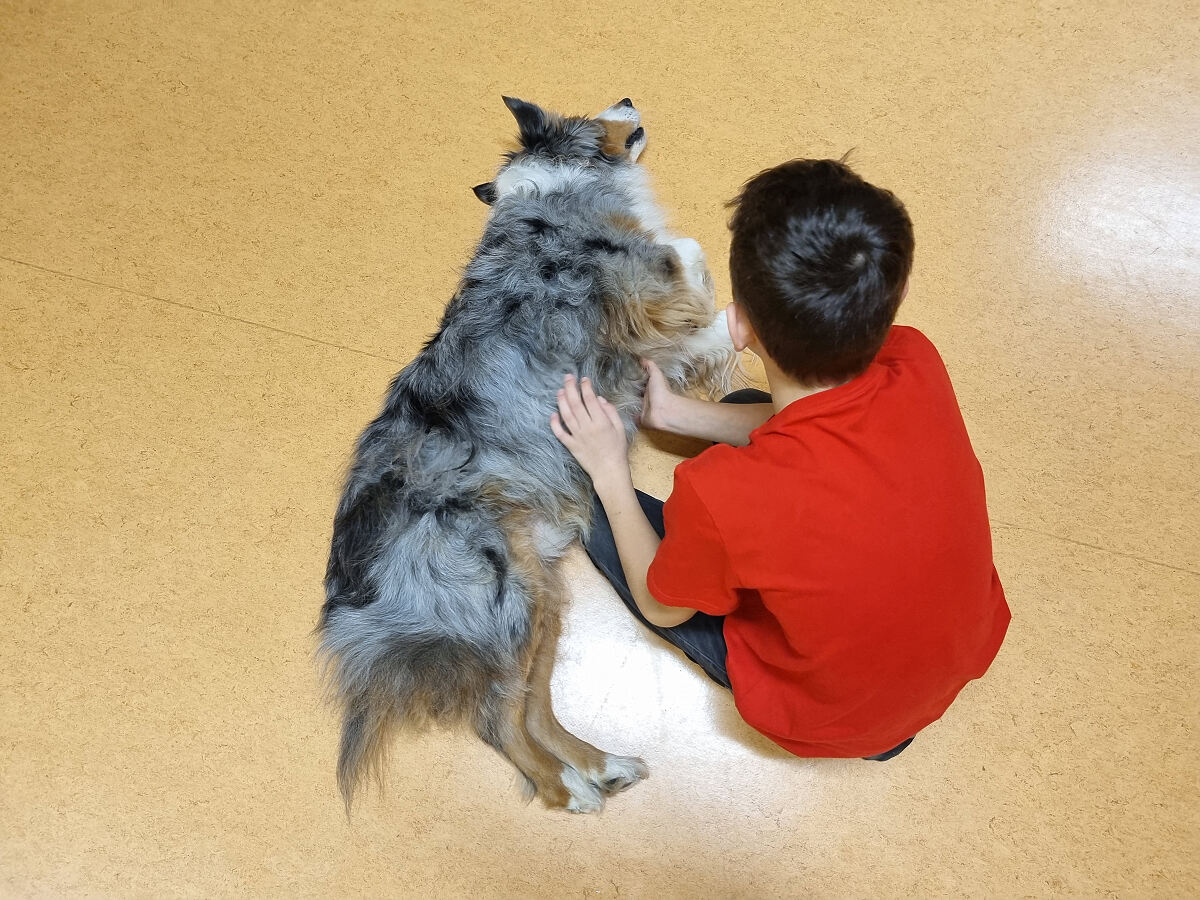 Tiergestützte Therapien sind besonders wichtig für viele der Kinder.