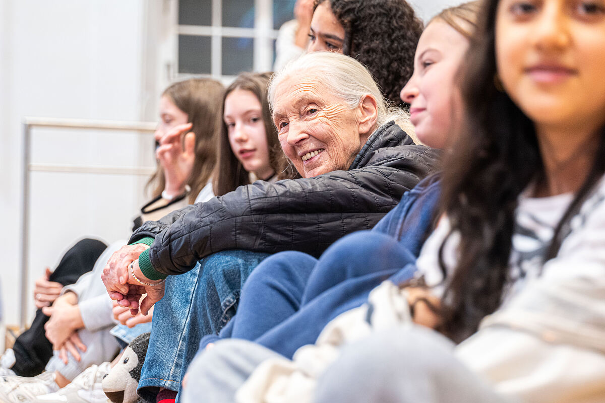 Jane Goodalls weiter Friedensbegriff