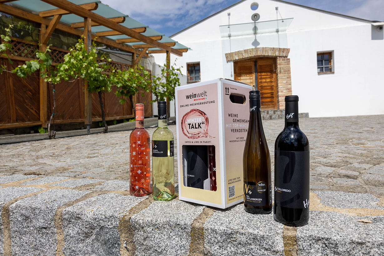 Tasting Box des Weinguts Hagn für den Online Winzertalk