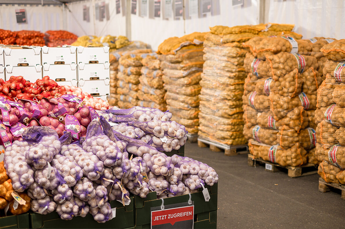 Einkellerung bei Maximarkt_c_Maximarkt