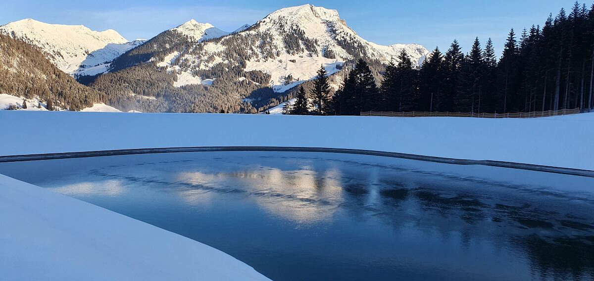 Innovativ, nachhaltig, lehrreich: Einblicke ins Skigebiet Dachstein West!