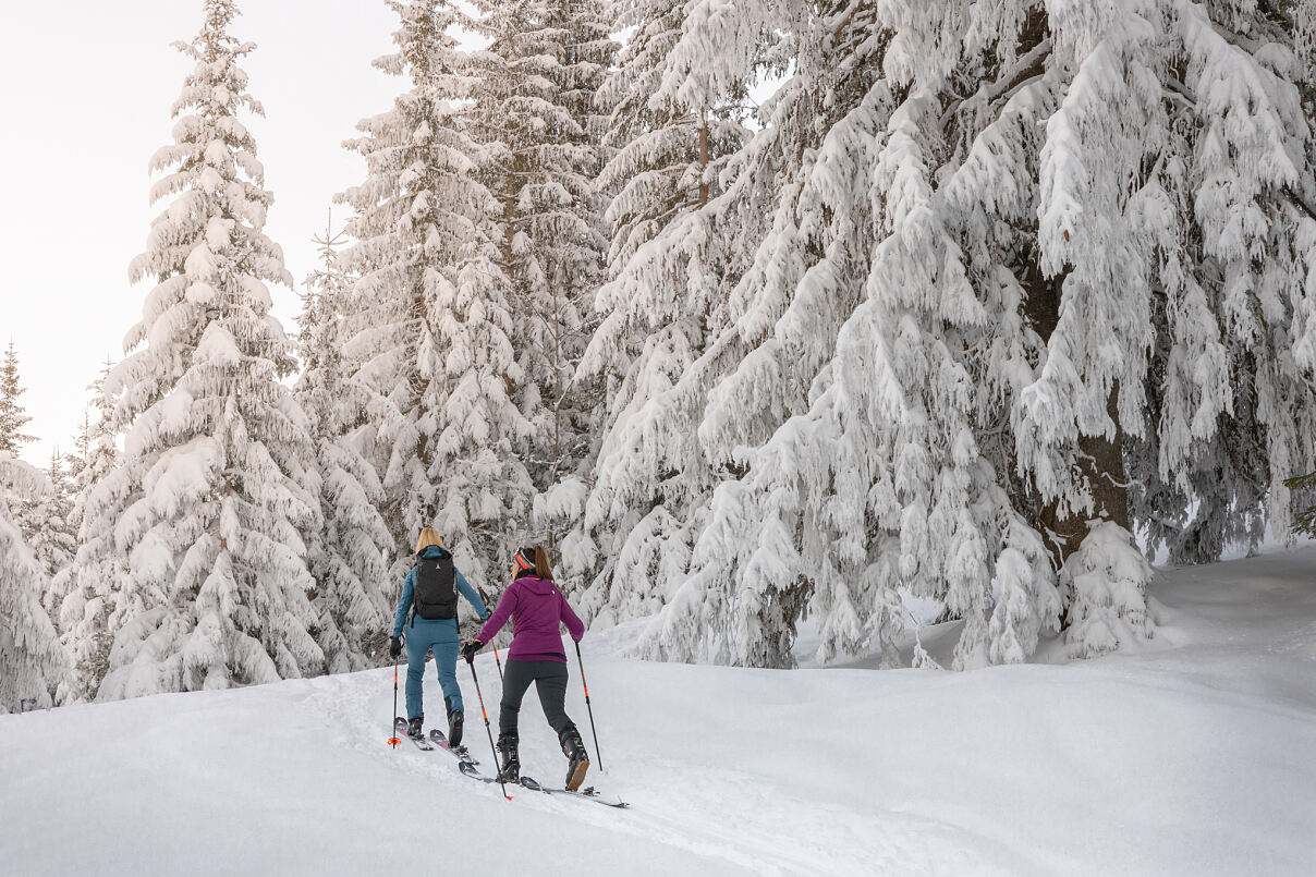 Dachstein West – Natürlich im Salzkammergut: Alle Gäste sind Willkommen! 