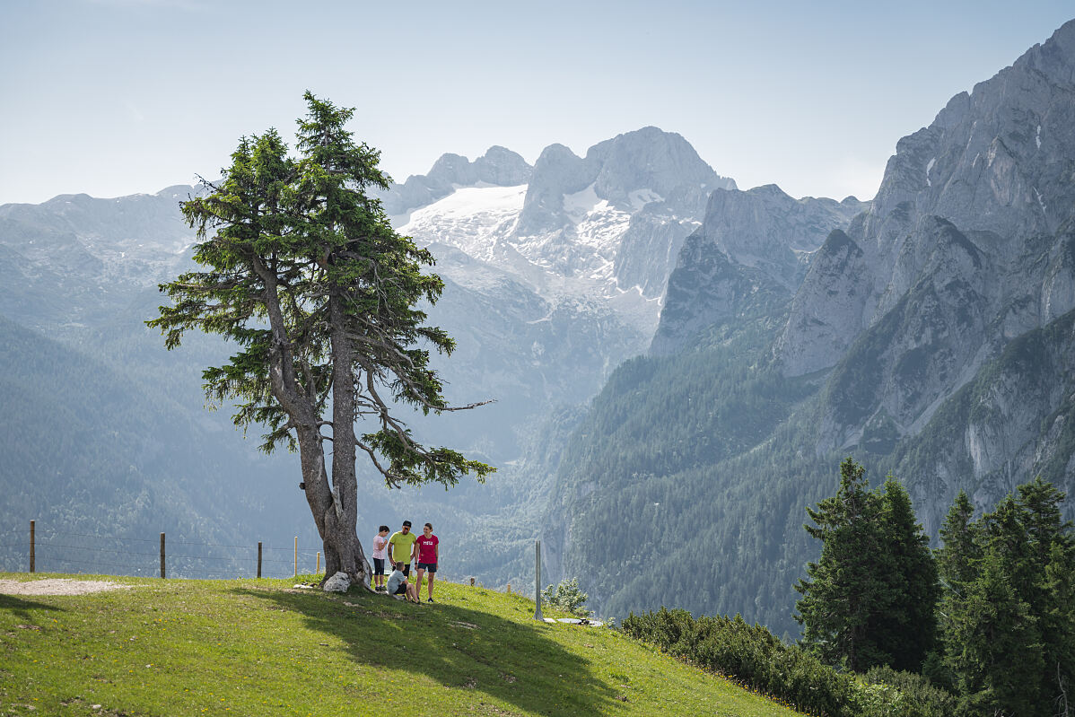 Dachstein West – Natürlich im Salzkammergut: Länderübergreifende Kooperation blickt in den Sommer