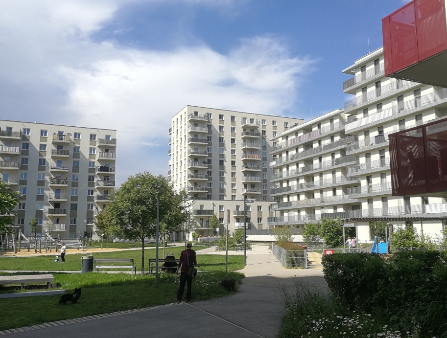 REMAX ImmoSpiegel_Eigentumswohnungsmarkt 2025 HJ1_c REMAX Austria